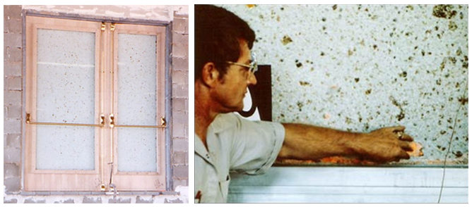 Fire Rated Doors: Standards, Testing and Glazing Requirements